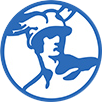 YES Ltd: Hellenic Chamber of Commerce